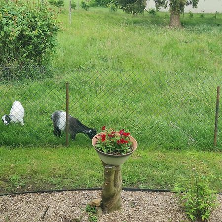 Maison Campagne Detente Thorigne-sur-Due Bagian luar foto
